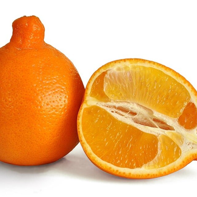 Minneola Tangelo