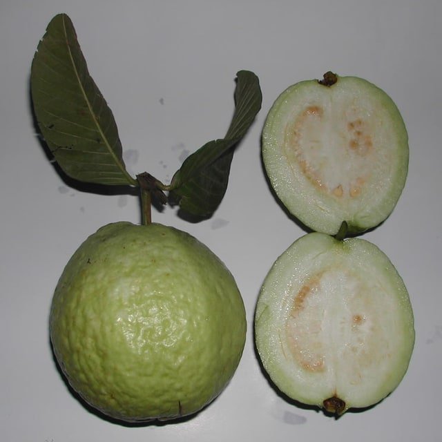 Pink Guava