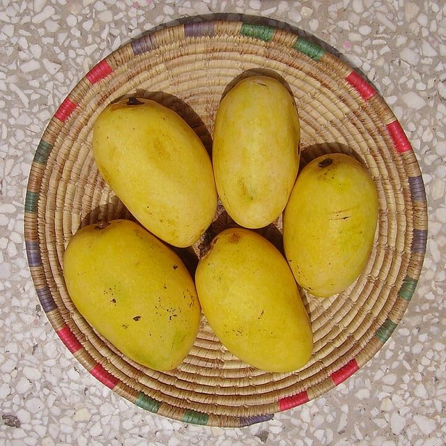 Chausa Mango