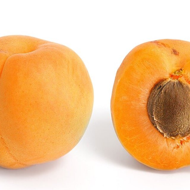 Valley Apricot
