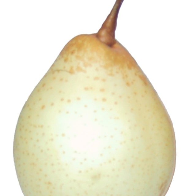 Soft Pear Naspati